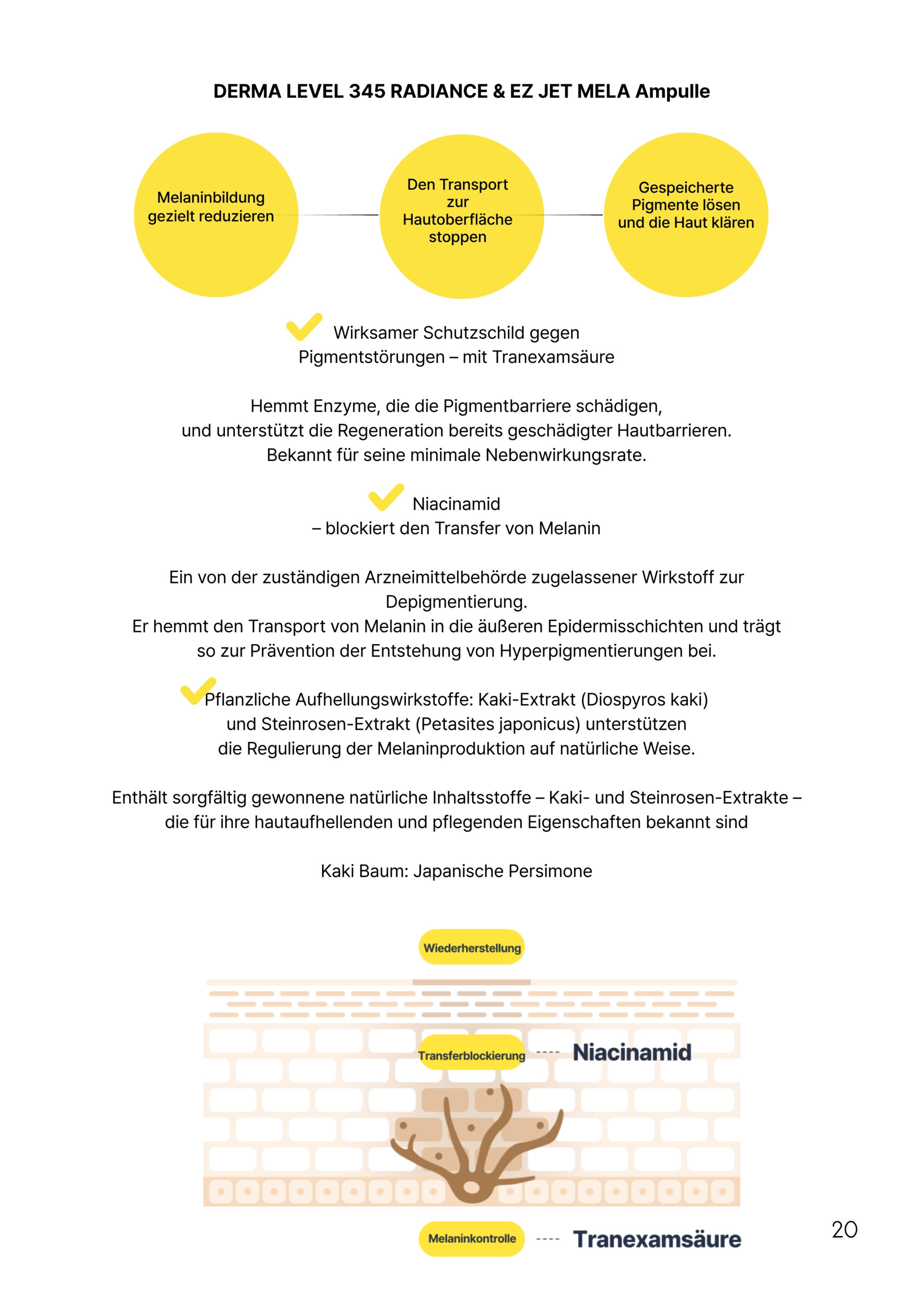 Niacinamid und Tranexamsäure reduzieren Melaninproduktion und verbessern das Hautbild